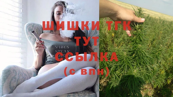 сатива Алексеевка