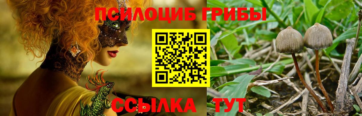 Галлюциногенные грибы MAGIC MUSHROOMS  Вход с VPN  Дзержинск 